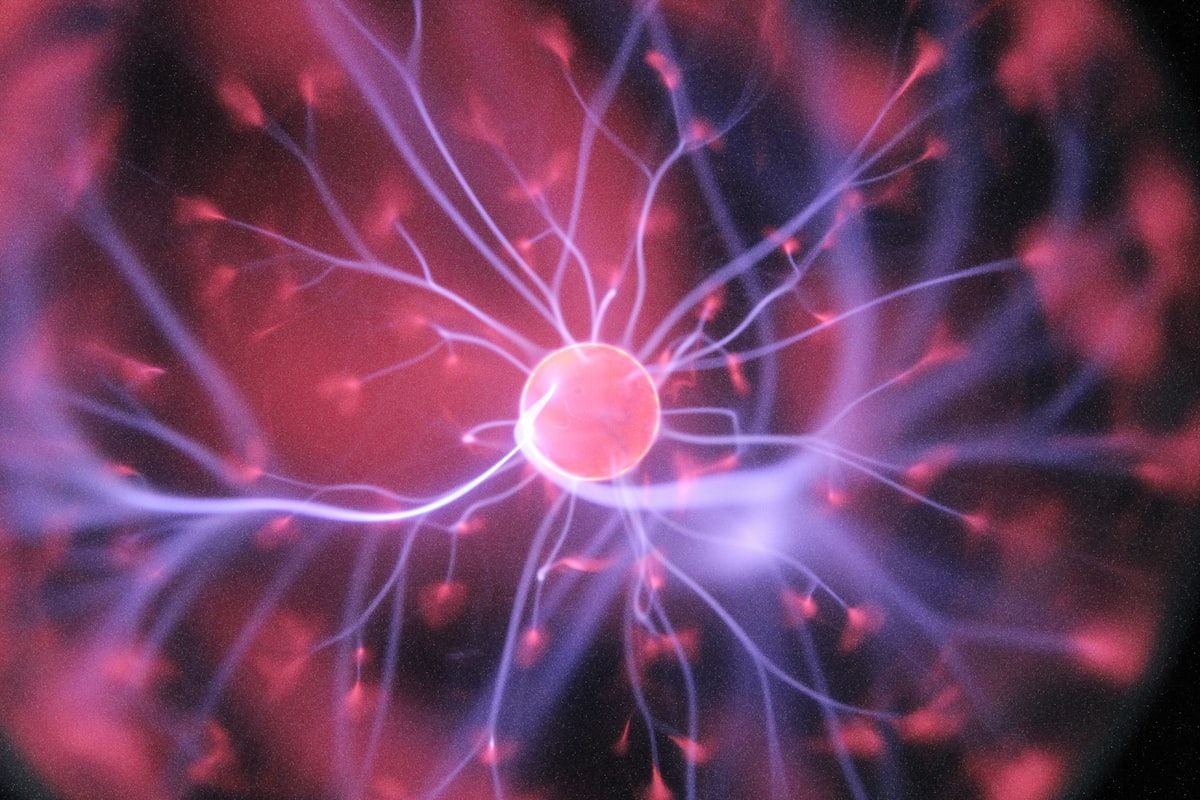 Ciencia e Innovación